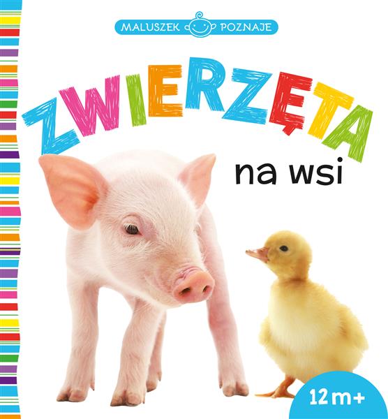 MALUSZEK POZNAJE ZWIERZĘTA NA WSI