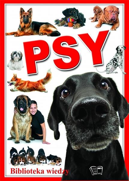 BWN/PSY /10/
