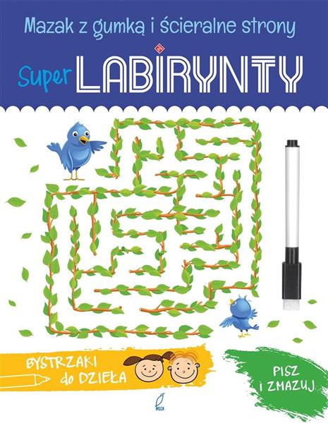 SUPER LABIRYNTY BYSTRZAKI DO DZIEŁA