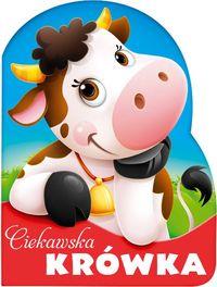 CIEKAWSKA KRÓWKA