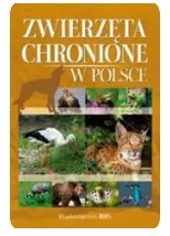 ZWIERZĘTA CHRONIONE W POLSCE