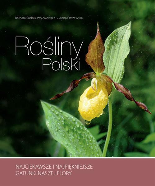 ROŚLINY POLSKI. NAJCIEKAWSZE I NAJPIĘKNIEJSZE ..