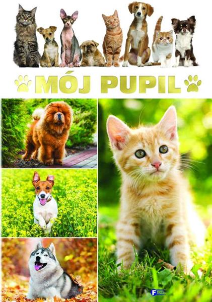 MÓJ PUPIL