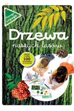 DRZEWA NASZYCH LASÓW