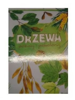 DRZEWA POZNAJ I POKOLORUJ
