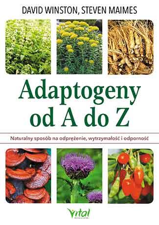 ADAPTOGENY OD A DO Z. NATURALNY SPOSÓB NA ODPRĘ?