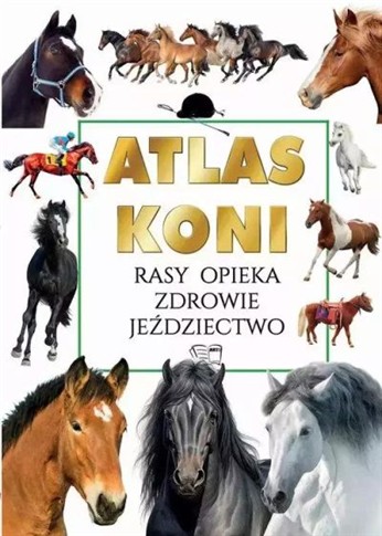 ATLAS KONI