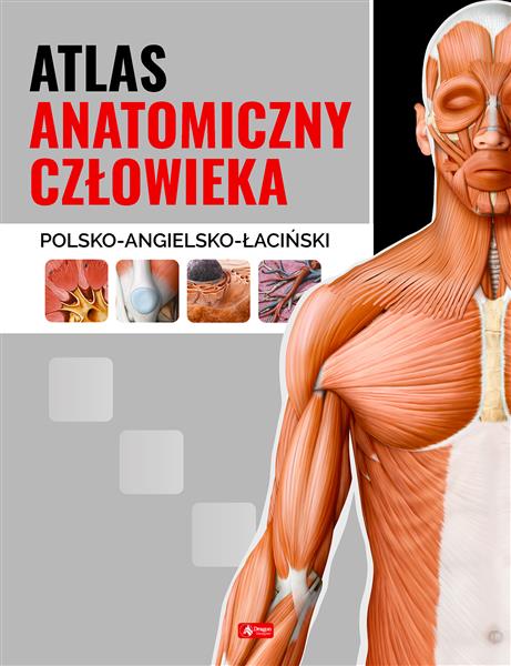 ATLAS ANATOMICZNY CZŁOWIEKA