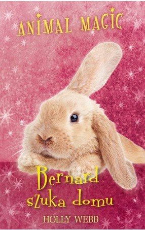 BERNARD SZUKA DOMU. ANIMAL MAGIC