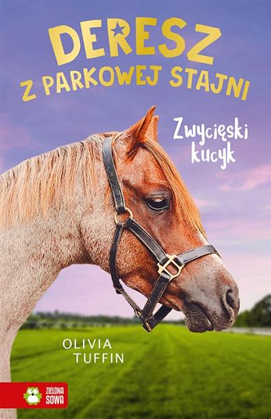 DERESZ Z PARKOWEJ STAJNI T.6. ZWYCIĘSKI KUCYK