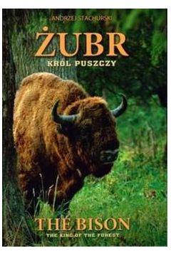 Żubr 