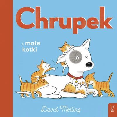 CHRUPEK I MAŁE KOTKI