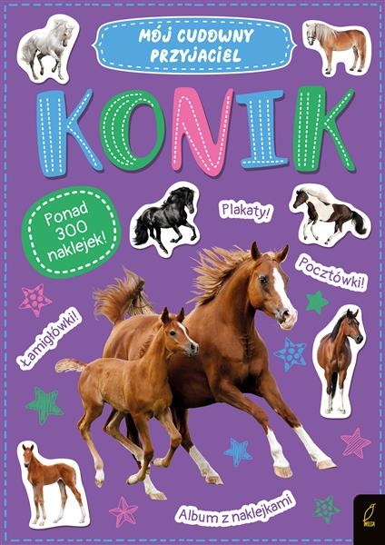 MÓJ CUDOWNY PRZYJACIEL. KONIK