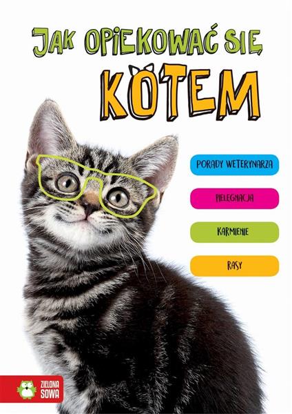 JAK OPIEKOWAĆ SIĘ KOTEM