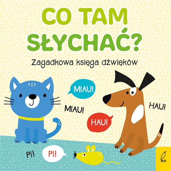 CO TAM SŁYCHAĆ? ZAGADKOWA KSIĘGA DŹWIĘKÓW