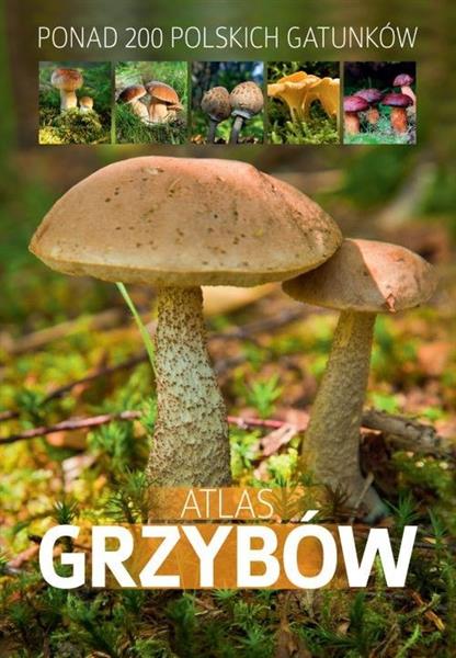 ATLAS GRZYBÓW. PONAD 200 POLSKICH GATUNKÓW