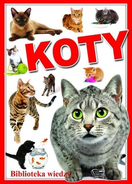 PWN/KOTY