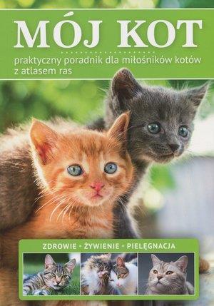 MÓJ KOT