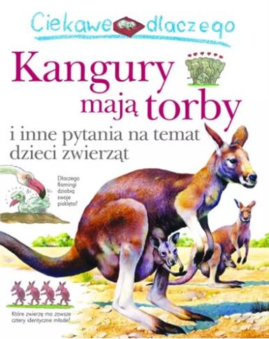 CIEKAWE DLACZEGO KANGURY MAJĄ TORBY