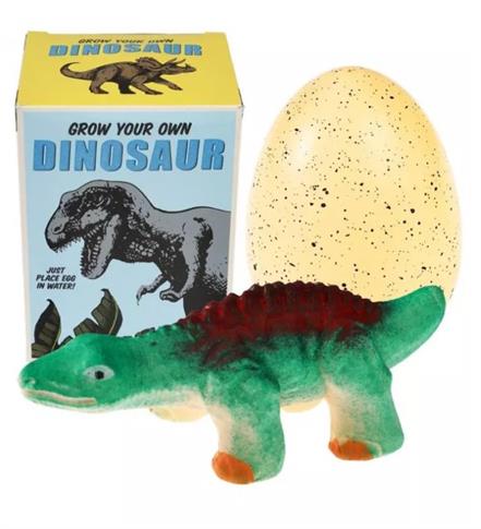 DINOZAUR WYKLUWAJĄCY SIĘ Z JAJKA, ZESTAW KREATYWNY