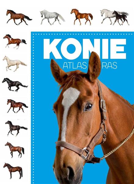 KONIE ATLAS RAS