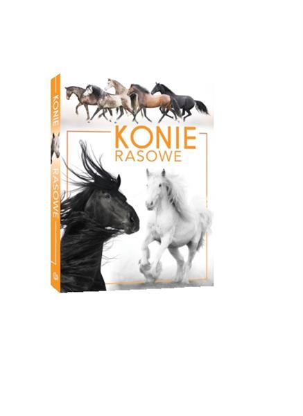 KONIE RASOWE