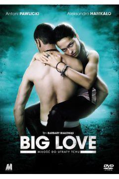 BIG LOVE MIŁOŚĆ DO UTRATY TCHU DVD