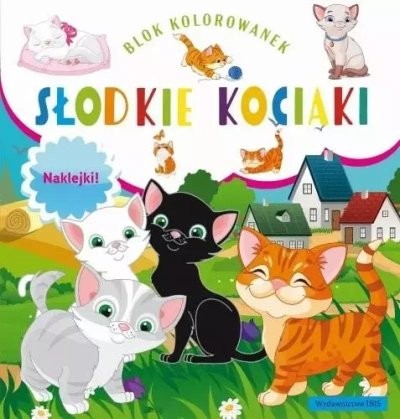 BLOK KOLOROWANEK. SŁODKIE KOCIAKI