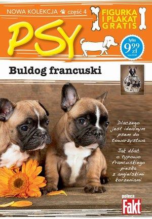 Buldog francuski. Kolekcja Psy. Część 4