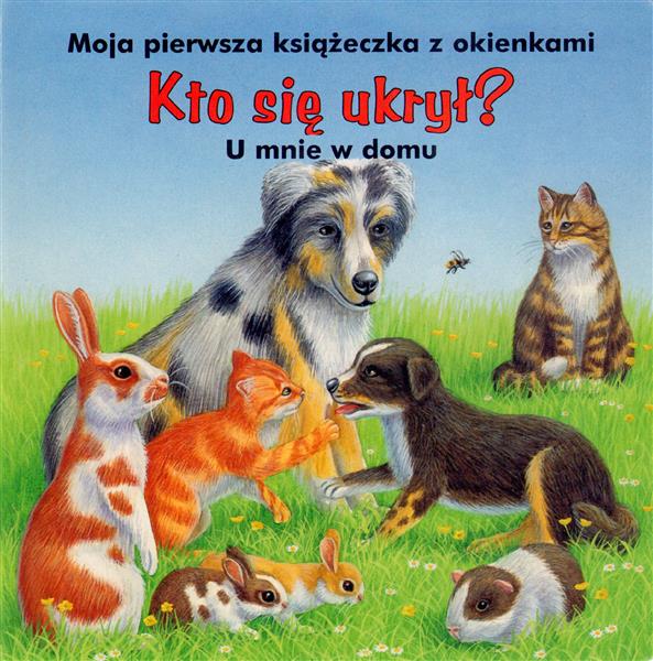 KTO SIĘ UKRYŁ? U MNIE W DOMU