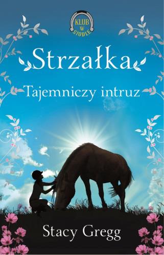 STRZAŁKA TAJEMNICZY INTRUZ