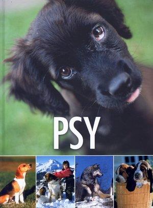 PSY