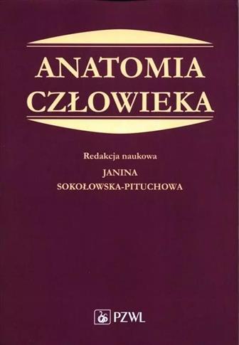 Anatomia człowieka Podręcznik dla studentów medycy