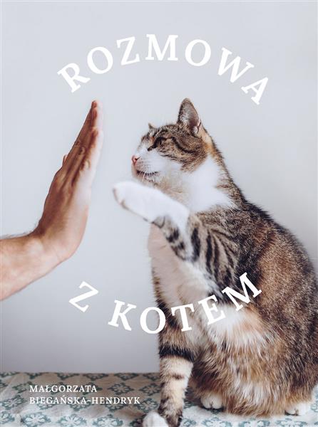 ROZMOWA Z KOTEM
