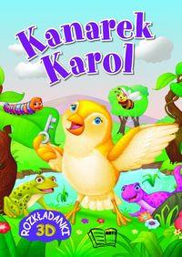 KANAREK KAROL ROZKŁADANKI 3D