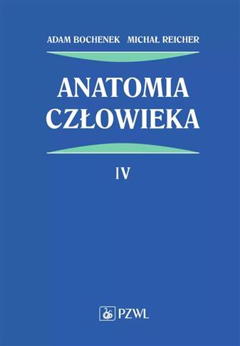 ANATOMIA CZŁOWIEKA. TOM 4