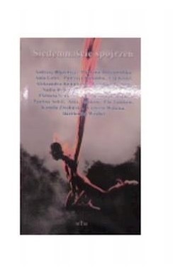 SIEDEMNAŚCIE SPOJRZEŃ