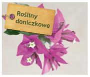 ROŚLINY DONICZKOWE