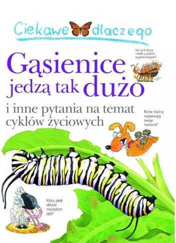 CIEKAWE DLACZEGO GĄSIENNICE TRAJK DUZO JEDZĄ