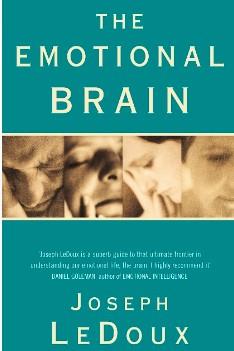 The Emotional Brain