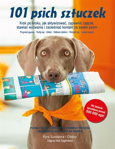 101 PSICH SZTUCZEK. KROK PO KROKU, JAK AKTYWIZOWAĆ