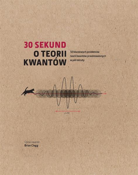 30 SEKUND. O TEORII KWANTÓW