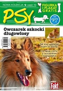 Owczarek szkocki długowłosy. Kolekcja Psy.Część 10