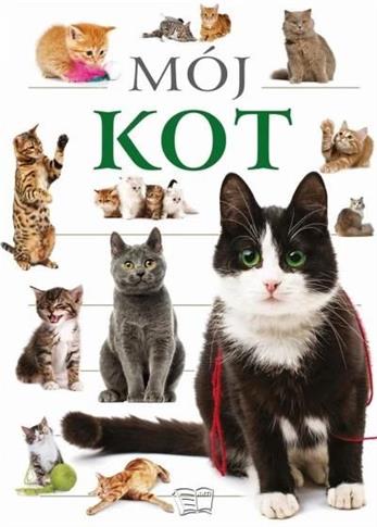 MÓJ KOT