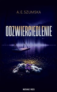 Odzwierciedlenie
