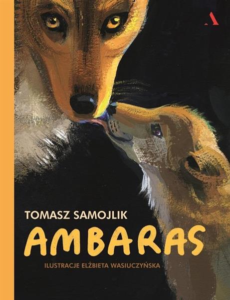 AMBARAS
