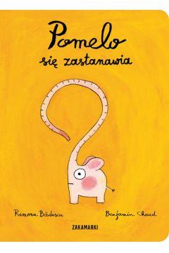 POMELO SIĘ ZASTANAWIA
