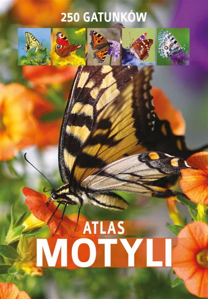 ATLAS MOTYLI