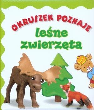 OKRUSZEK POZNAJE LEŚNE ZWIERZĘTA