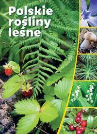 POLSKIE ROŚLINY LEŚNE